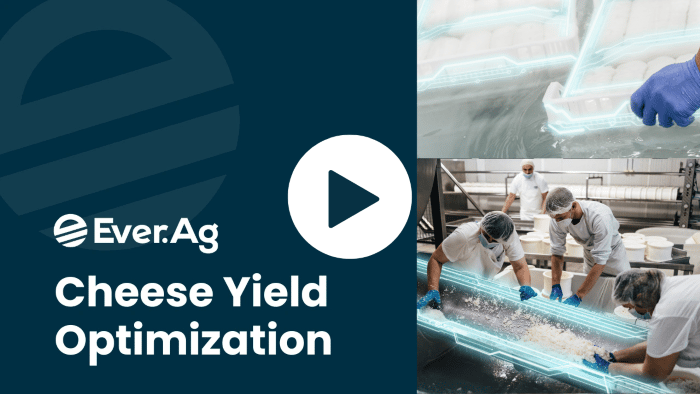 Cheese-Yield-Optimization-Video